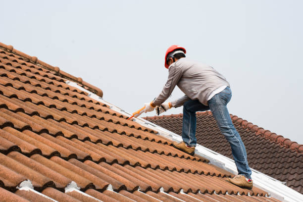 Best Skylight Installation and Repair  in Fair Lawn, NJ